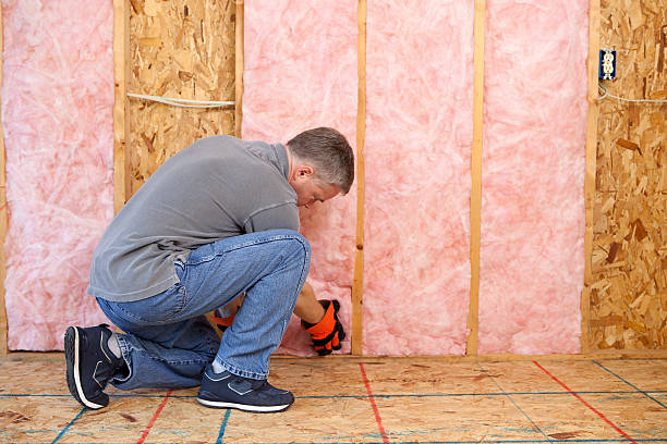 Best Specialized Insulation Services in Hudson, IA