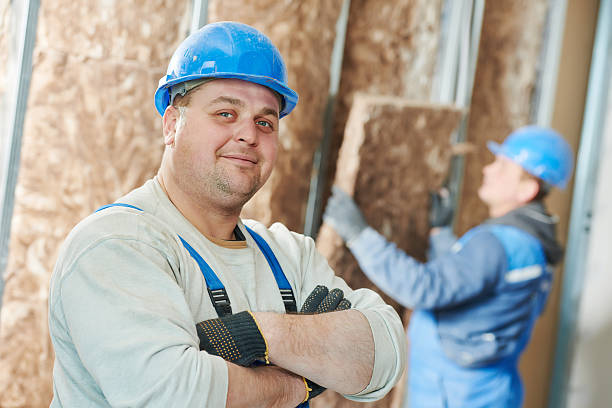 Best Cellulose Insulation in Hudson, IA