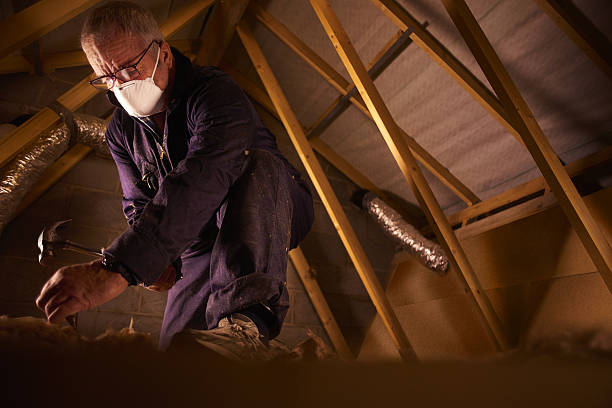 Professional Insulation Contractor in Hudson, IA